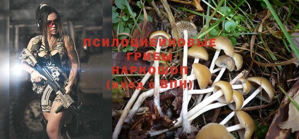 таблы Ельня