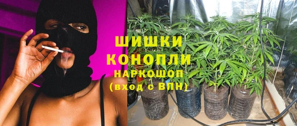 трава Елабуга