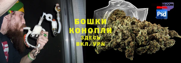 таблы Ельня