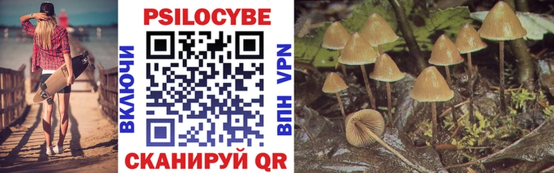 Купить  Стрежевой  Галлюциногенные грибы GOLDEN TEACHER 